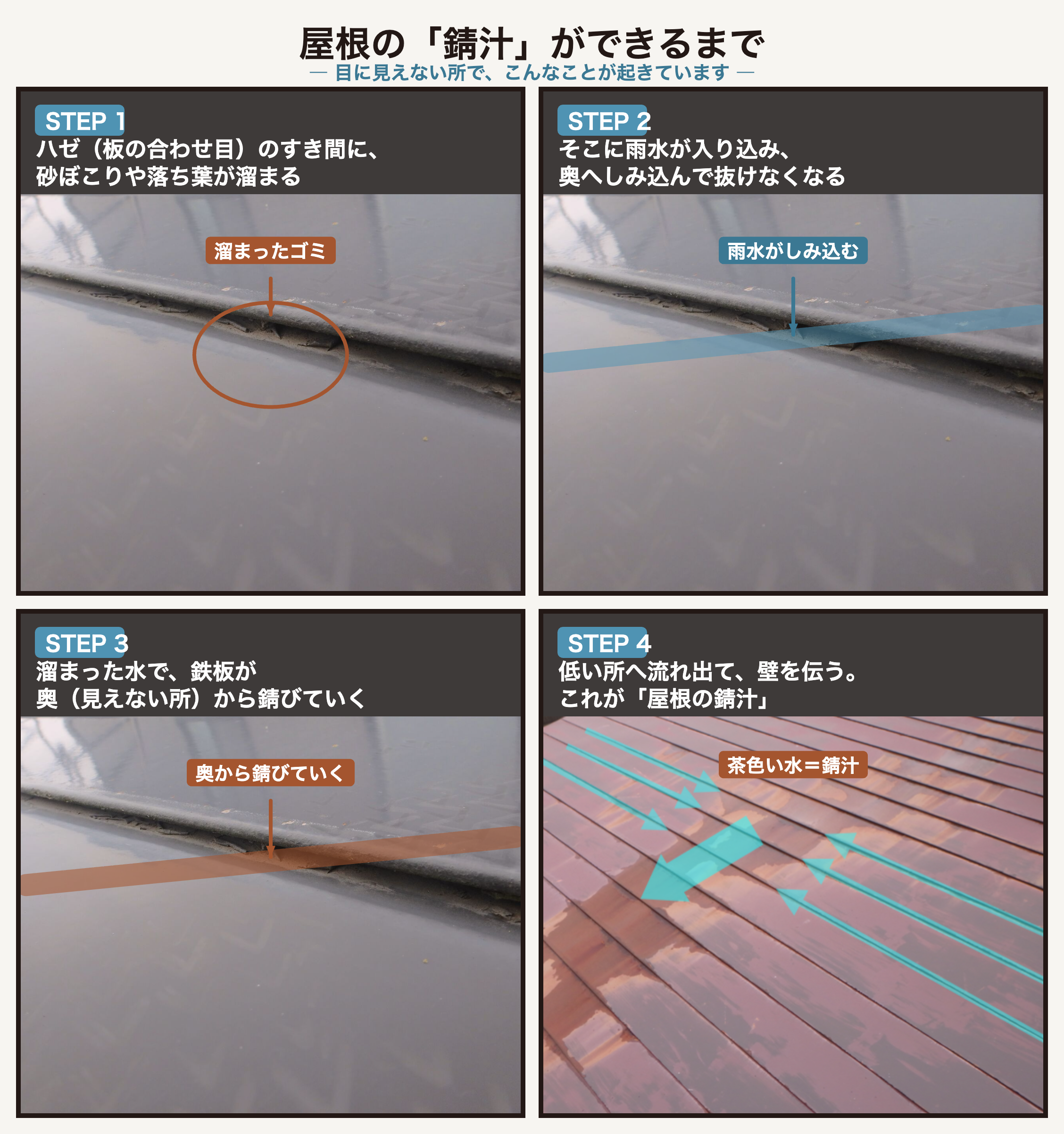 屋根の錆汁ができるまで STEP1ハゼにゴミが溜まる→STEP2雨水がしみ込む→STEP3奥から錆びる→STEP4錆汁が出る
